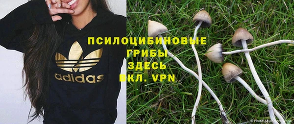 кокс Нея