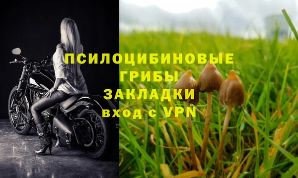 прущие грибы Нефтегорск