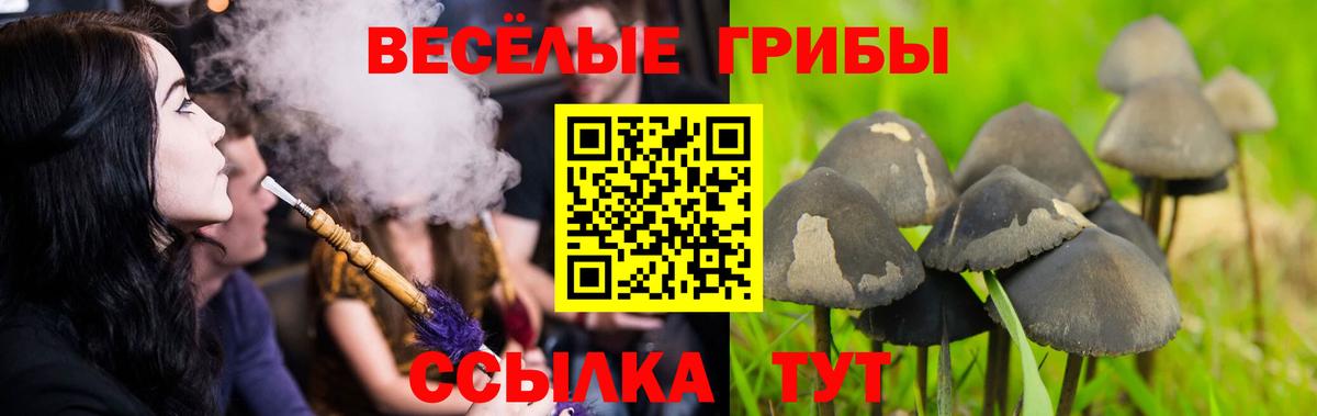 Псилоцибиновые грибы GOLDEN TEACHER Новый Уренгой